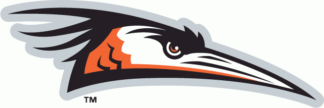 Delmarva Shorebirds 2010-Pres Primary Logo iron on transfers for T-shirts
